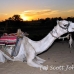 camel_bank_west_lux_h_0008_egy3086.jpg